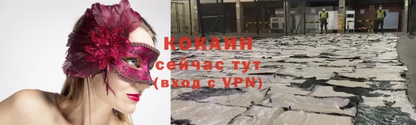 ГАЛЛЮЦИНОГЕННЫЕ ГРИБЫ Ростов