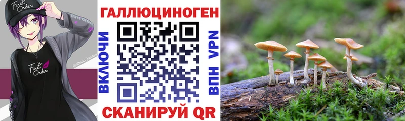 Галлюциногенные грибы мицелий Вуктыл